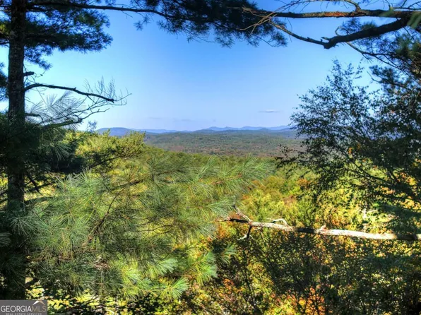 Bell Camp Ridge Rd, Blue Ridge, GA 30513