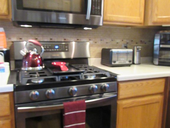 5th image of 2112 Purple Aster Ln