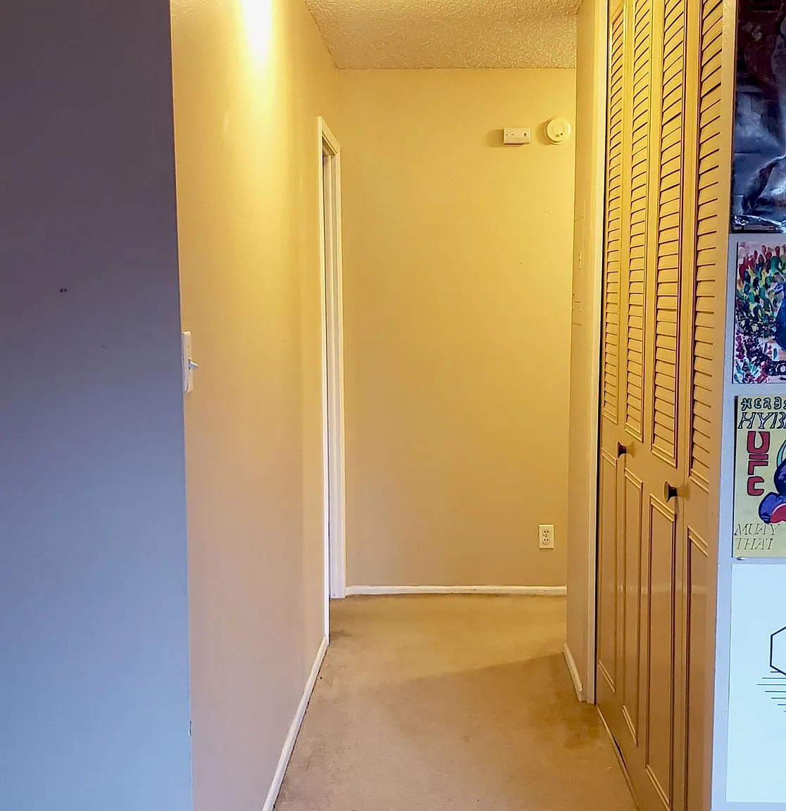 1 bed, 709 sqft, $1,500 — Photo 4