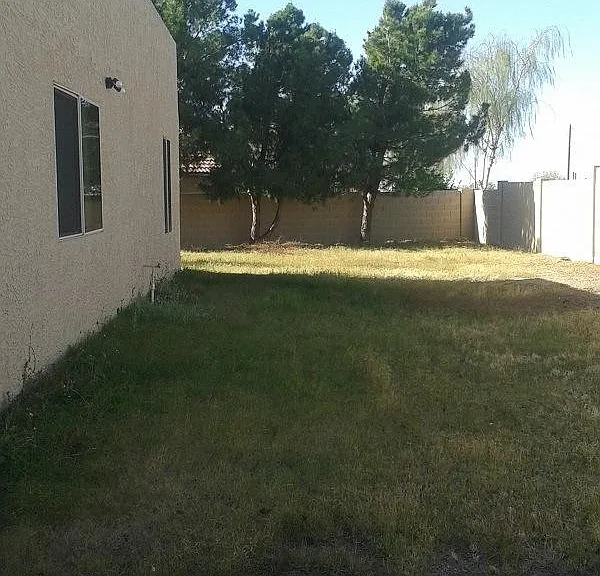 More backyard on side of house