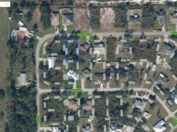 1504 Black Bear Ave, Lake Placid, FL 33852