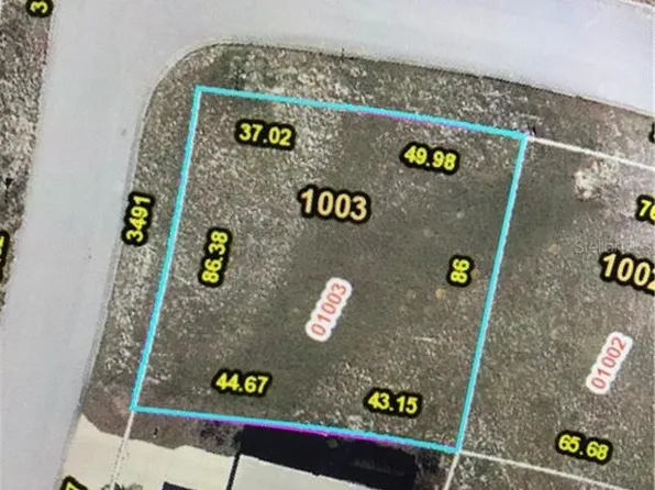 3491 Greenbluff Rd #1003, Zellwood, FL 32798