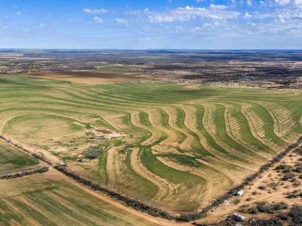 0 County Road 393, Miles, TX 76861