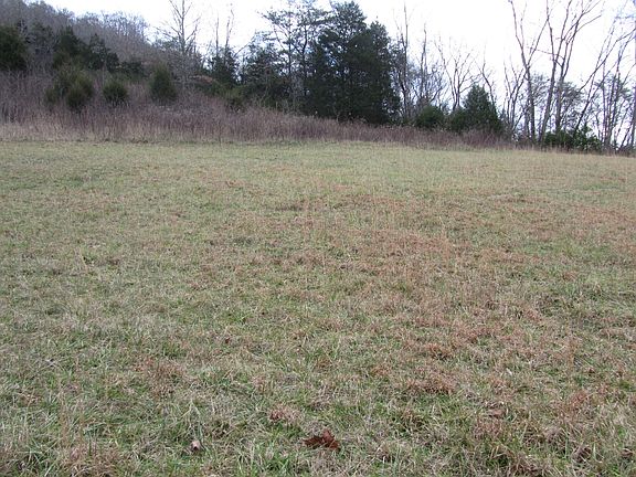 2nd image of 6 Five Acres Tazewell Hwy
