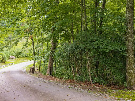 4th image of TBD Rein Deer Trail