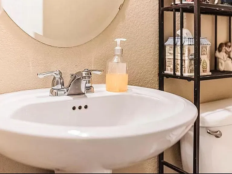 2342 Spring Blossom Dr — Photo 27