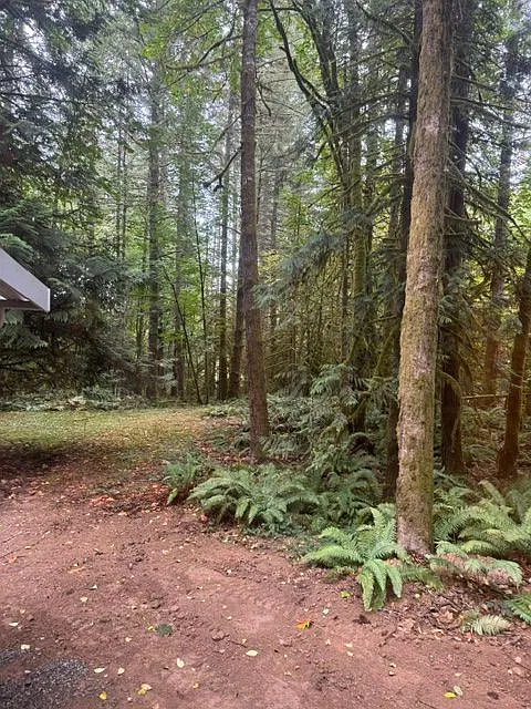 Libby Rd NE, Olympia — Photo 3