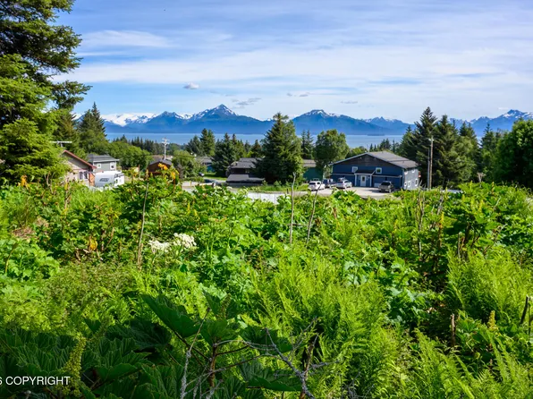167 E Danview Ave, Homer, AK 99603