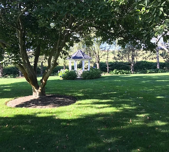 163 Lexington St #28 — Photo 8