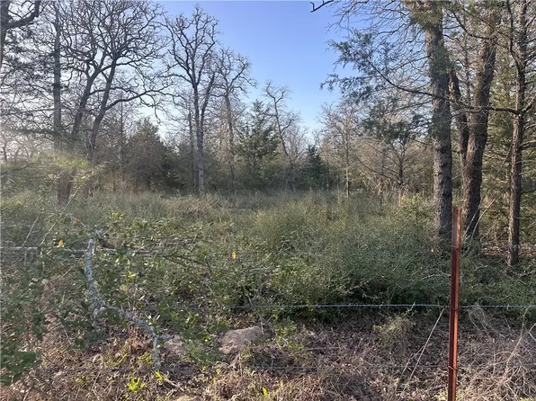 County Road 462, Somerville, TX 77879