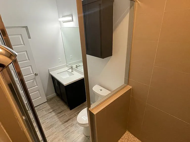 Master walak in shower with modern fixtures