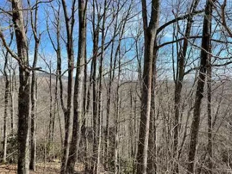 623 Wintergreen Dr — Photo 21