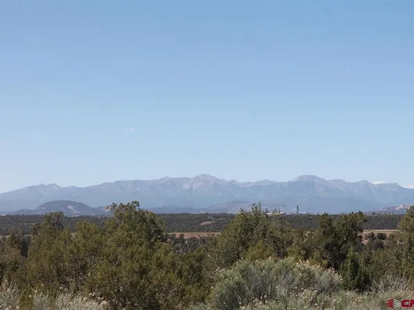 TBD County Road 309, Ignacio, CO 81137