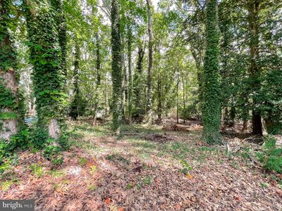 Waterside Dr, Leonardtown, MD, 20650