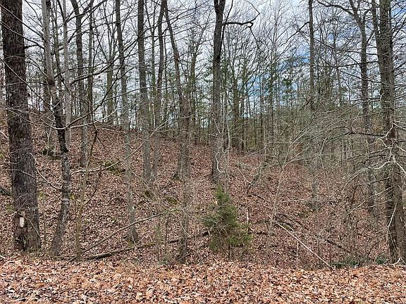 2nd image of 0 Sharp Rd Lot 10