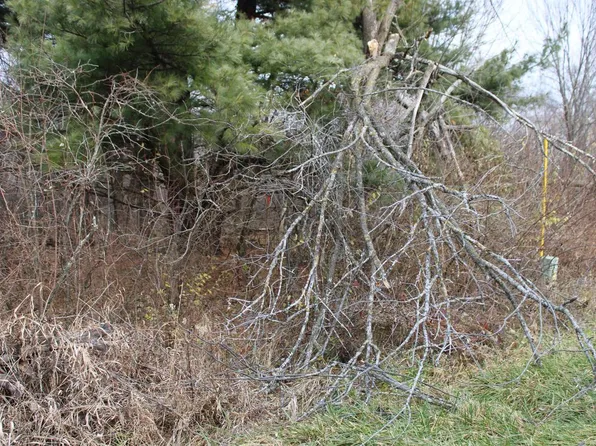 Lot 40 Dutch Hollow Drive, La Valle, WI 53941