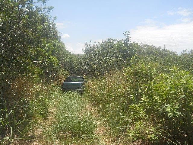 2nd image of Ahi Street Mark Twain Lot 22