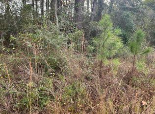 Chestnut St, Pass Christian, MS 39571
