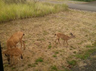 1437 Storm King Ave SW, Ocean Shores, WA 98569
