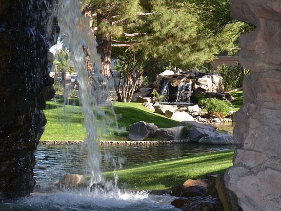 Tranquility of an Oasis