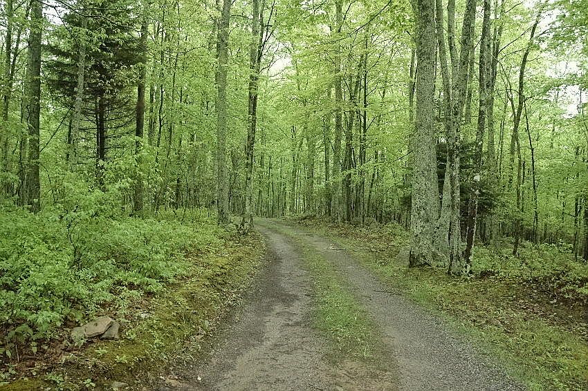 2nd image of 3342 Back Mountain Rd