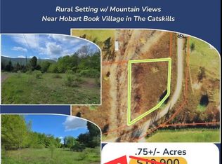 Adams Hill Rd LOT 17, Hobart, NY 13788