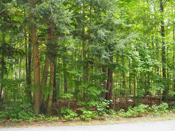 6927 Hardwood Ct, Harbor Springs, MI 49740