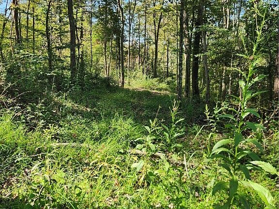 4th image of County Road 7