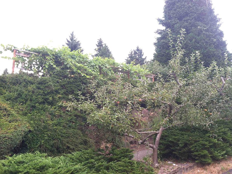 2nd image of 2708 NE 82nd St