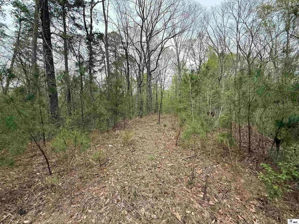 360 Henry Martin Rd, Columbia, LA 71418