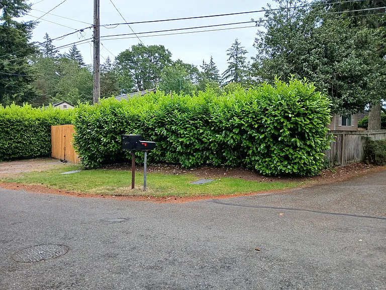 9802 American Ave SW — Photo 2
