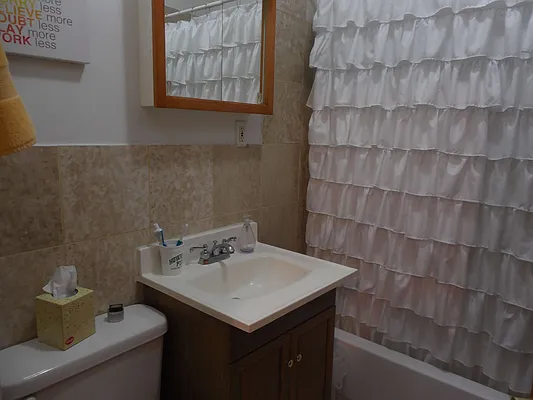 Rented by High Line NYC Realty Group | media 5