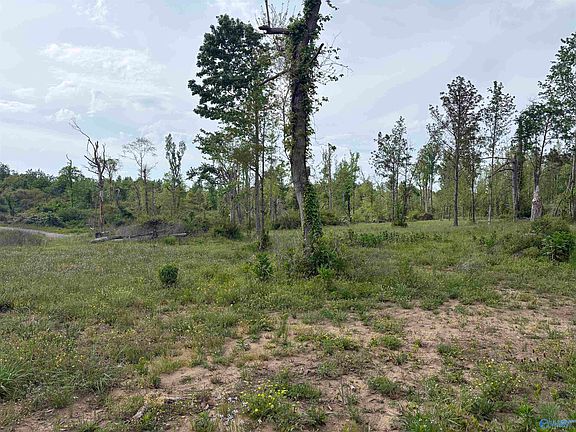3rd image of LOT 2 Highway 40