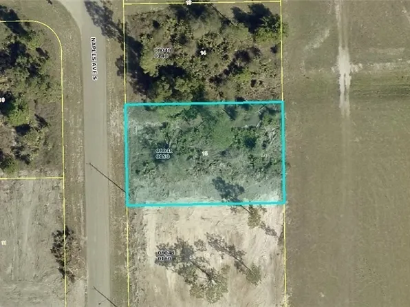959 Naples Ave S, Lehigh Acres, FL 33974