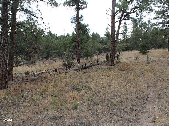 2nd image of 004U Elk Trl