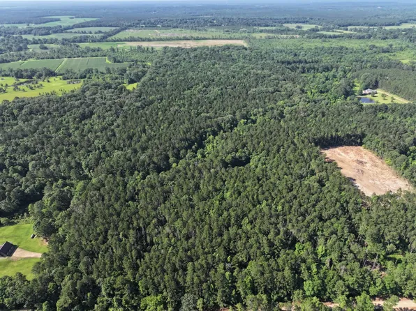 Jc Prestage Rd, Pelahatchie, MS 39145