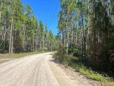 00 NW Camp Azalea Rd, Chiefland, FL, 32626