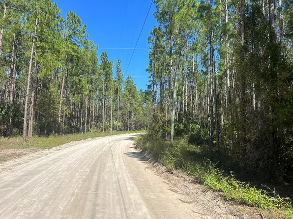 00 NW Camp Azalea Rd, Chiefland, FL 32626