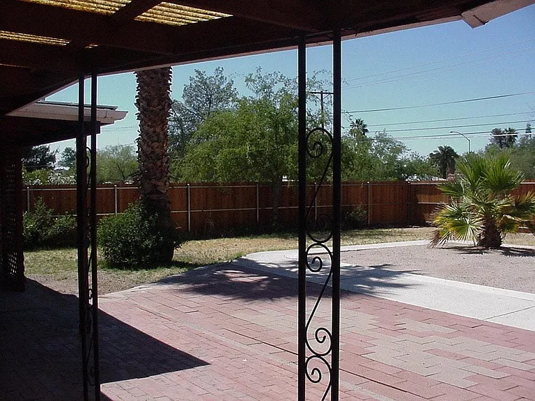 Back yard