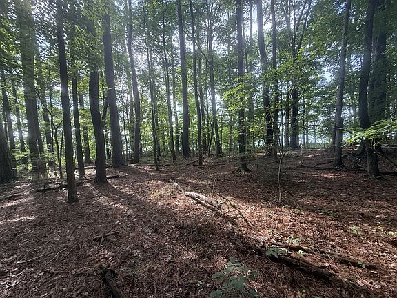 5th image of 0 Cane Creek Cir Lot 14