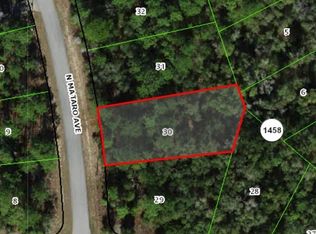 11031 N Mataro Ave, Citrus Springs, FL 34434