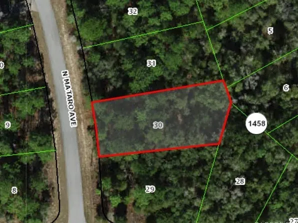 11031 N Mataro Ave, Citrus Springs, FL 34434