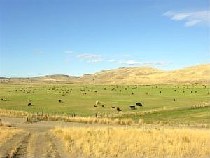 3rd image of 40637 Hwy 20 E