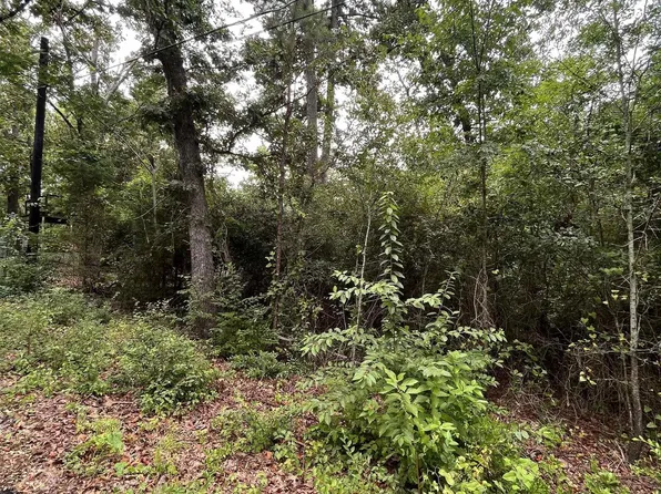 Valley View Dr, Frankston, TX 75763