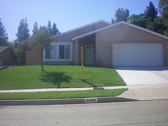 New Sod Lawn