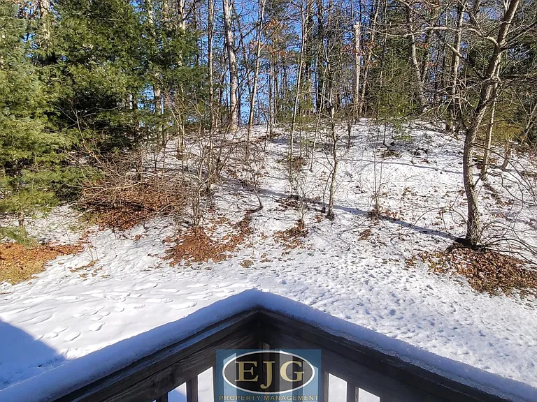 9 Blossom Ln — Photo 57
