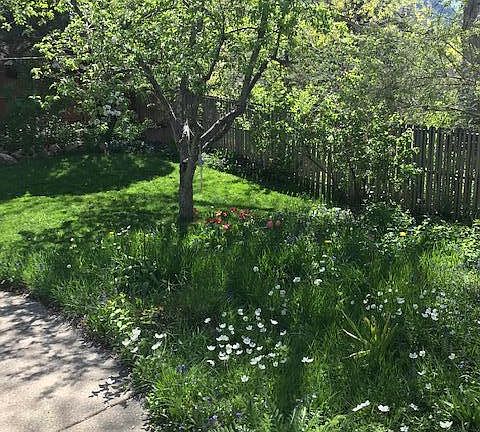 Landscaped backyard, flowers, trees and bushes throughout