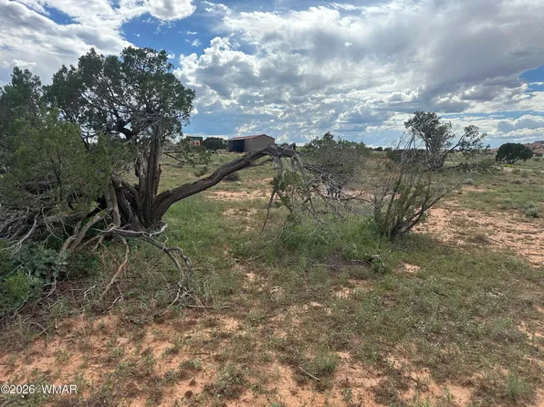 1771 W Ridgeview Ranch Rd, Snowflake, AZ 85937