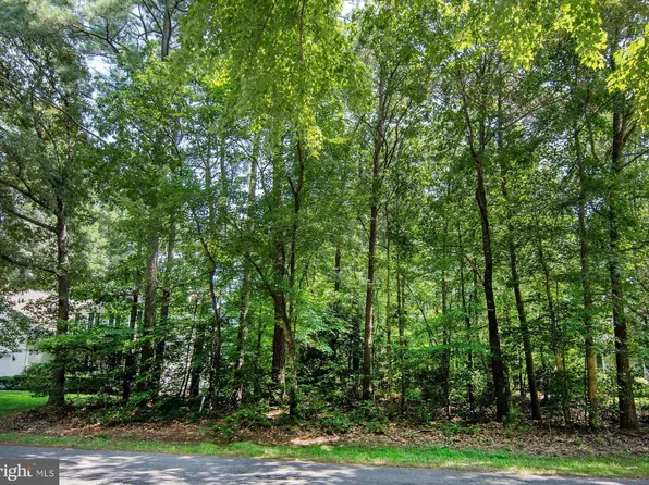 LOT 79 Davy Jones Blvd, Greenbackville, VA 23356