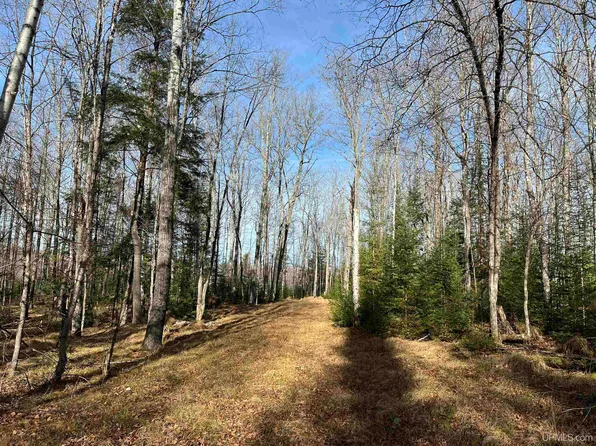 5299 Town Rd N, Florence, WI 54121